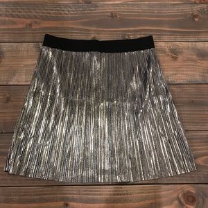 Silver skirt
